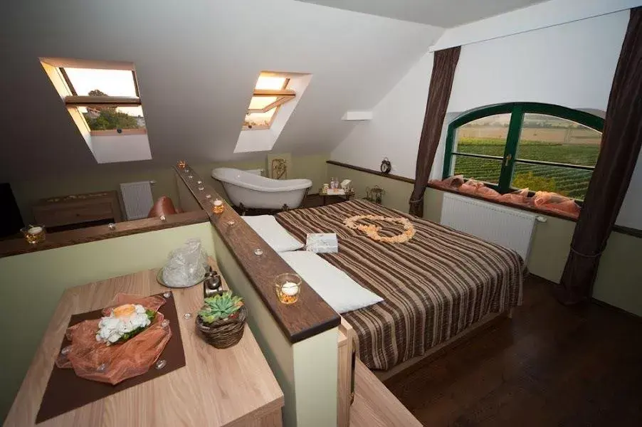 Photo 2 of Hotel Vinohrad