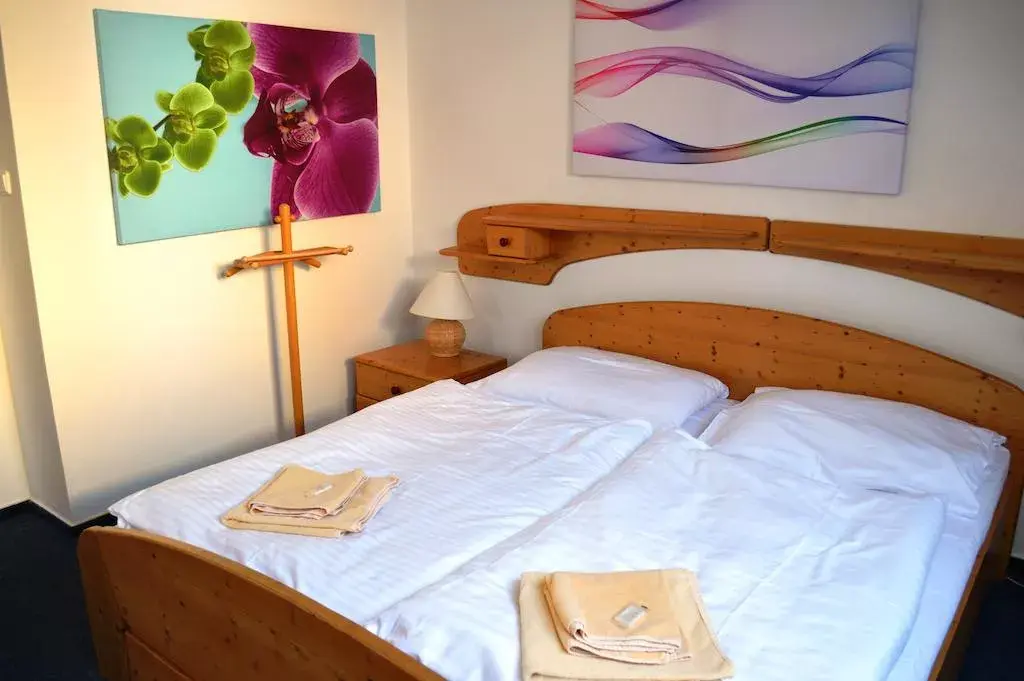 Photo 3 of Hotel VLTAVA