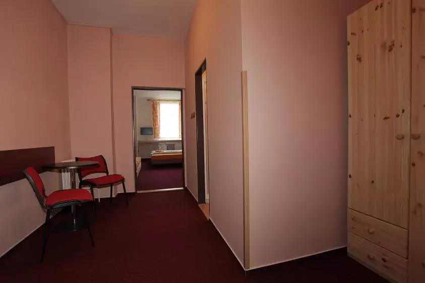 Photo 4 of Hotel Zimní stadion