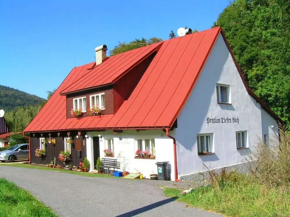 Desná
