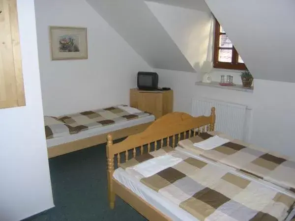 Photo 2 of Pension Kadlcův mlýn