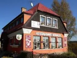 Korálek
