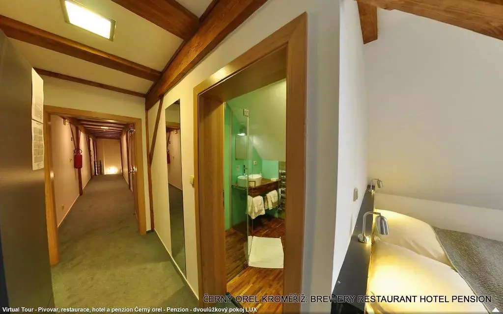 Photo 3 of Hotel ČERNÝ OREL 