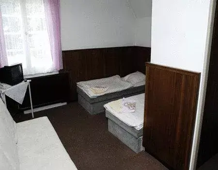Photo 4 of Hotel U jezírka