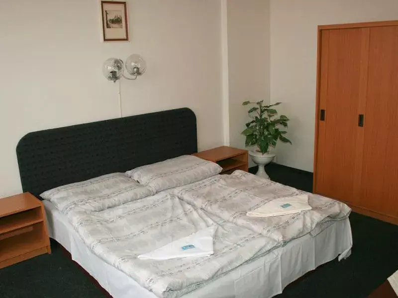Hotel Helena, Litomierzyce Předměstí