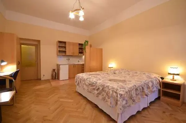 Photo 5 of APARTHOTEL LUBLAŇKA