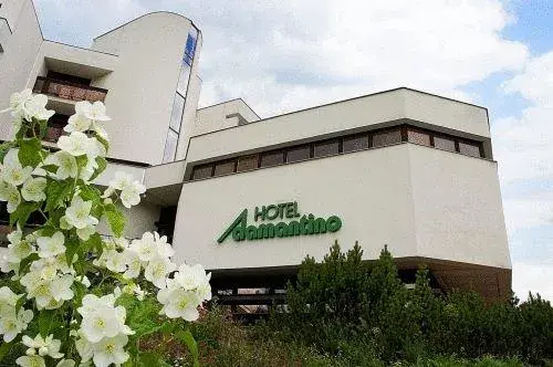 Photo 4 of Hotel Adamantino