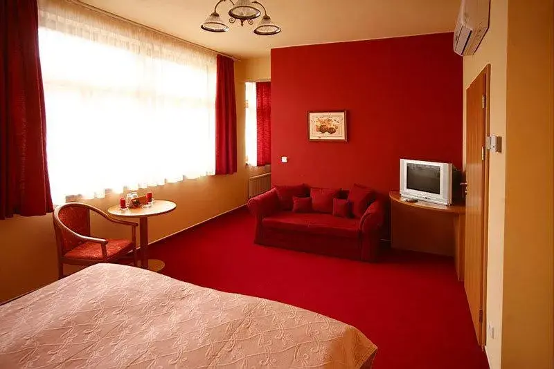 Photo 4 of Hotel PAGANINI - Mělník