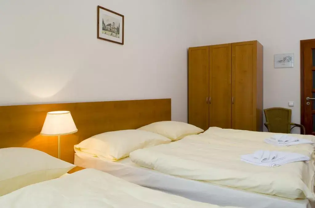 Photo 5 of Městský Hotel Dorinka