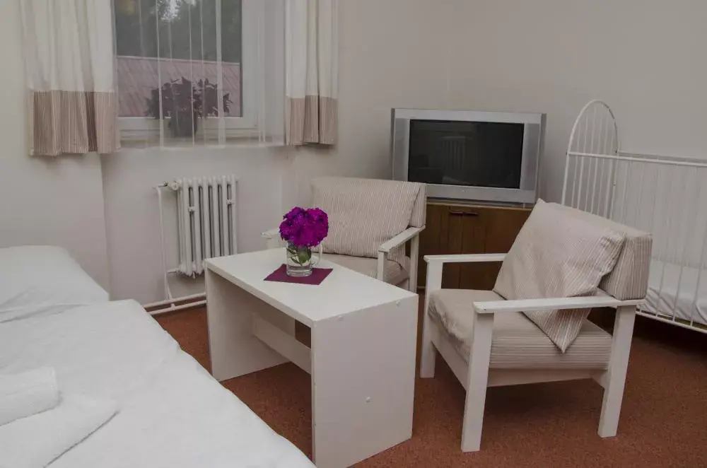 Photo 3 of Hotel Týnec