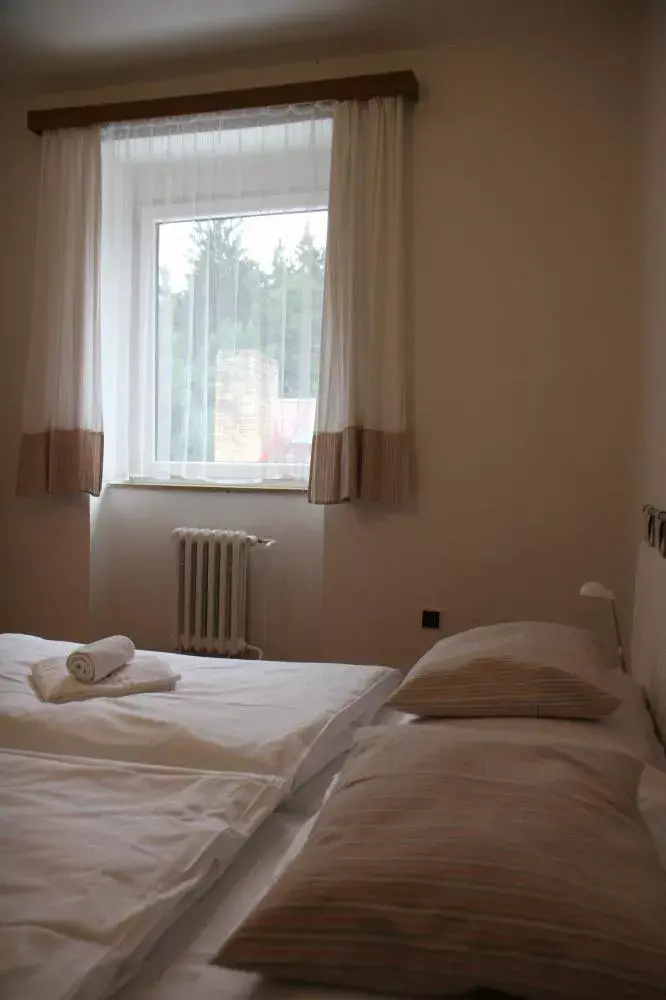 Photo 4 of Hotel Týnec