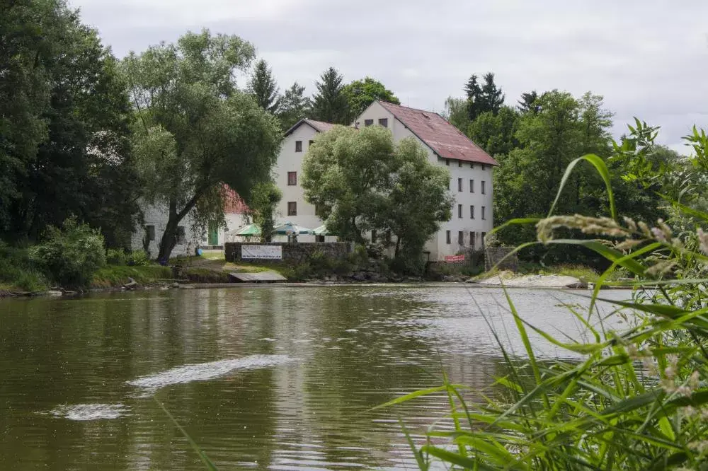 Lešany