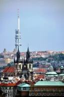 Photo 42