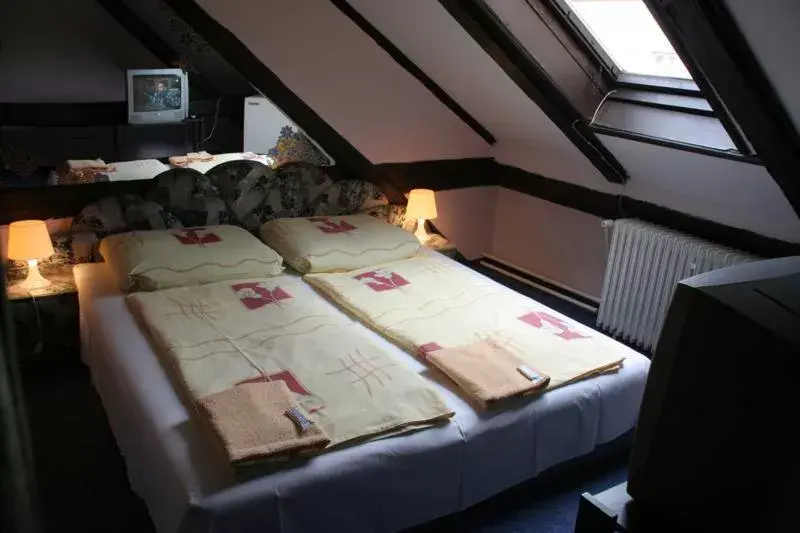 Photo of Hotel Morrison Plzeň