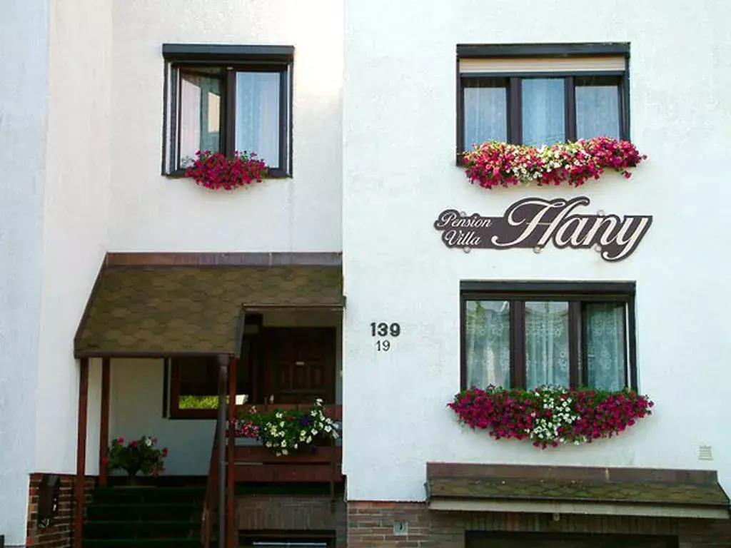 Villa Hany, Mariánské Lázně Hamrníky