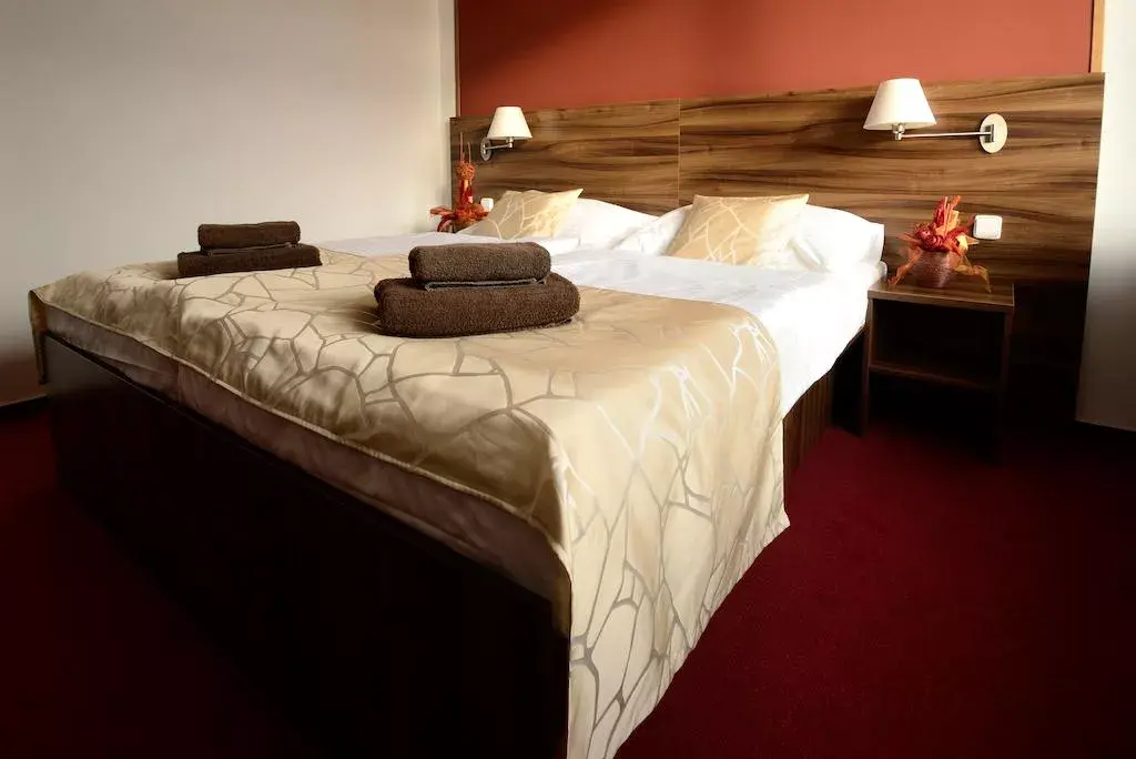 Photo 4 of HOTEL PALCÁT TÁBOR congress & wellness hotel