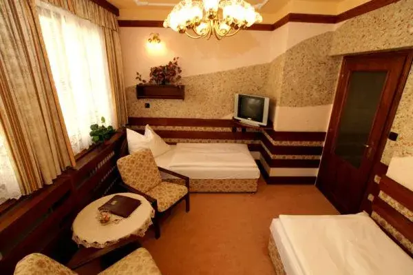 Photo 3 of PARKHOTEL BRNO