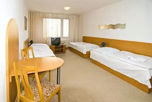 Photo 3 of Hotel Arnošt