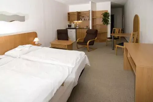 Photo 4 of Hotel Arnošt