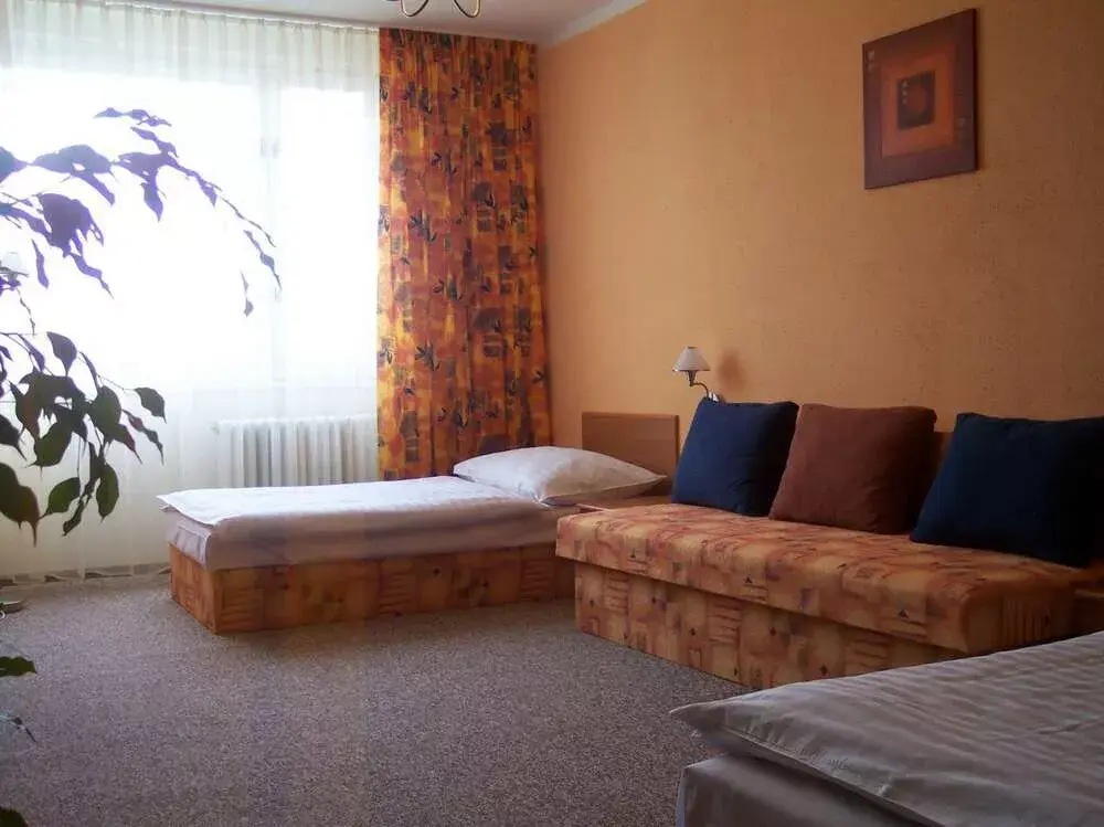 Photo 5 of HARMONY CLUB HOTEL Pardubice