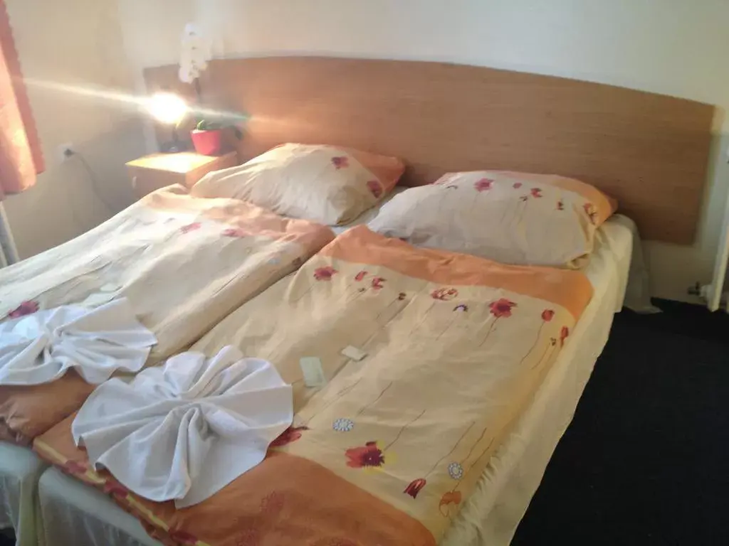 Photo 4 of Hotel Hůrka