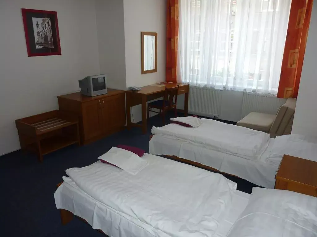 Photo 4 of Hotel Staré časy
