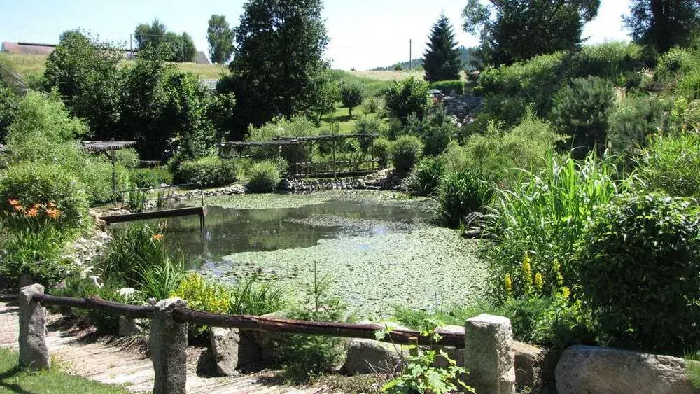 Photo 2 of Pension Regina