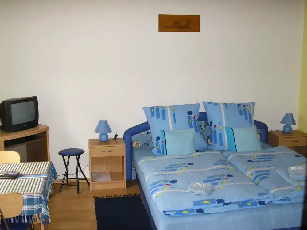 Photo 5 of Pension Vlasta
