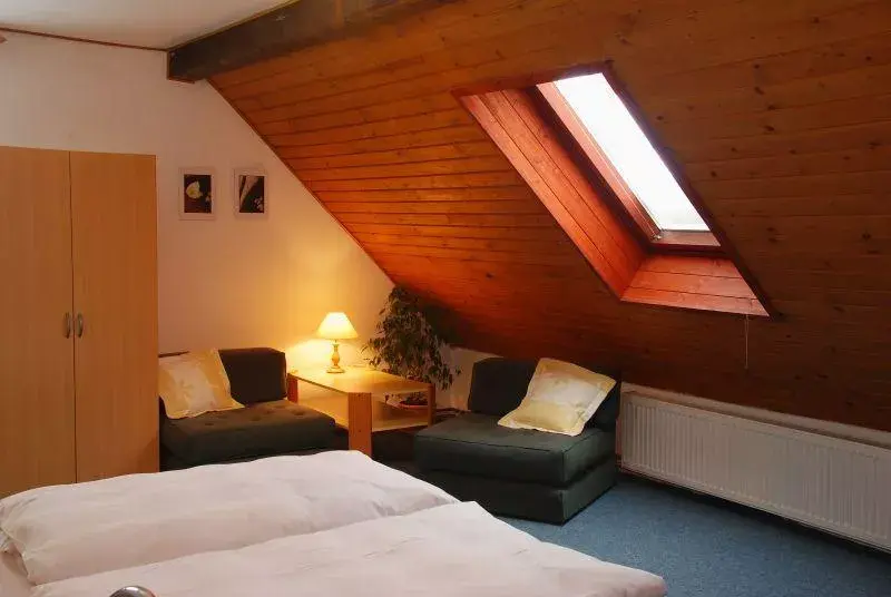 Photo 3 of Penzion ALPINA