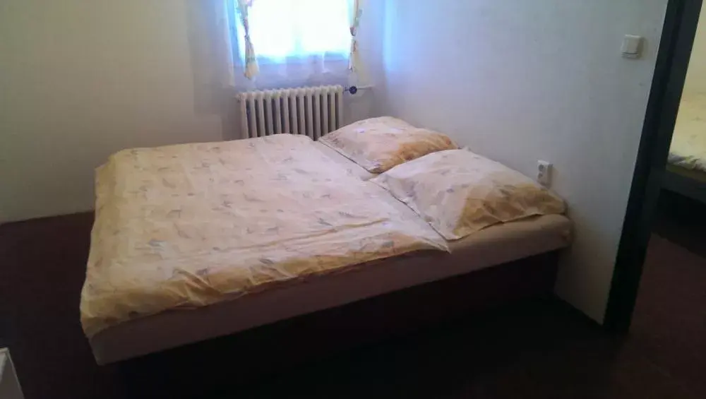 Photo 2 of Penzion chata Světlá
