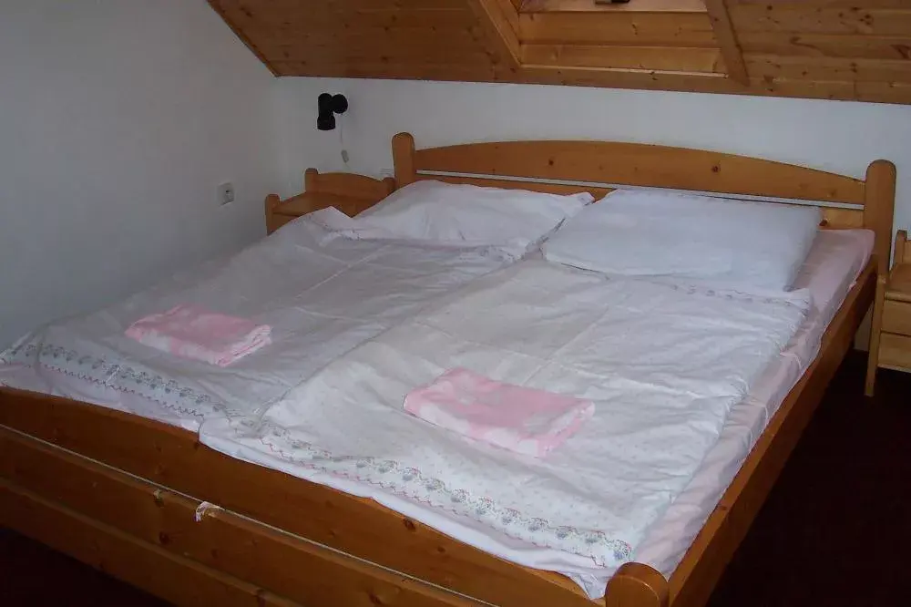 Photo 3 of penzion Hraniční bouda