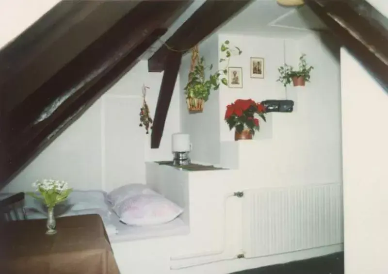 Photo 3 of Penzion Jurčáková