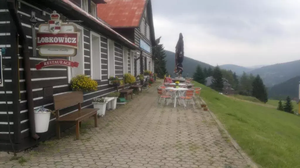 Penzion Lesní Pramen