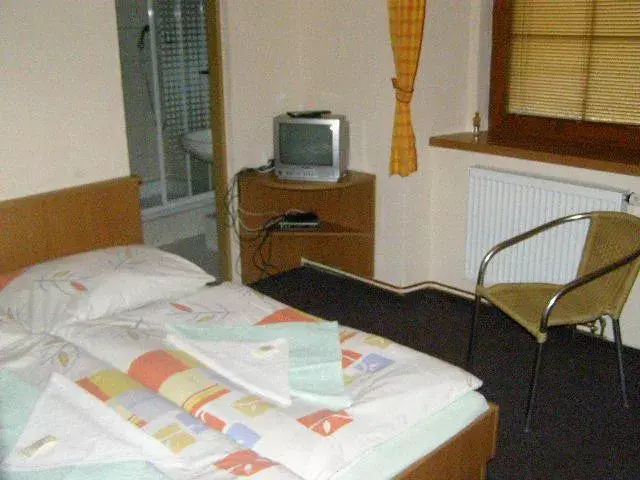 Photo 3 of Penzion U Bedřicha