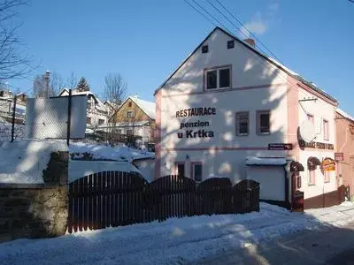 PENZION U KRTKA