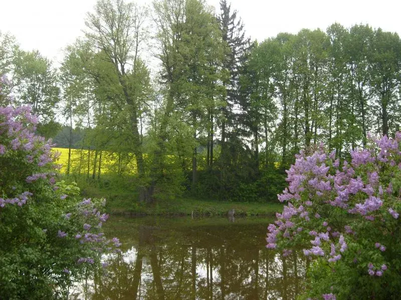 Photo 3 of Penzion "U rybníka"