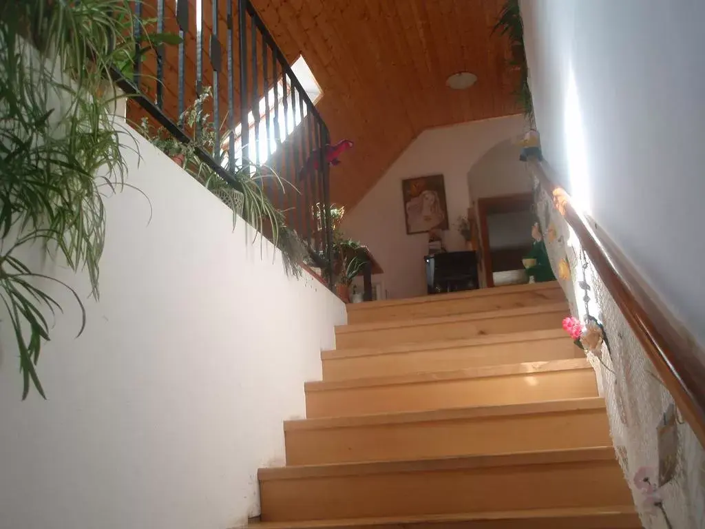 Photo 3 of Privát u Máji