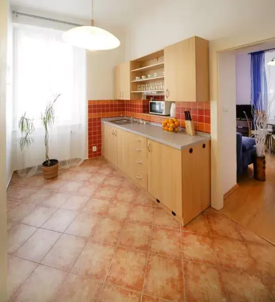 Photo 4 of Pension Pushkin Apartments