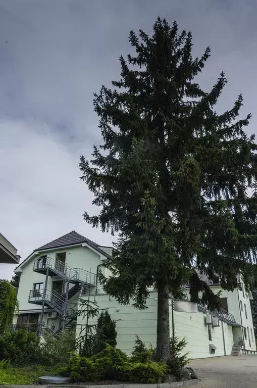 Photo 4 of Hotel PAVILON