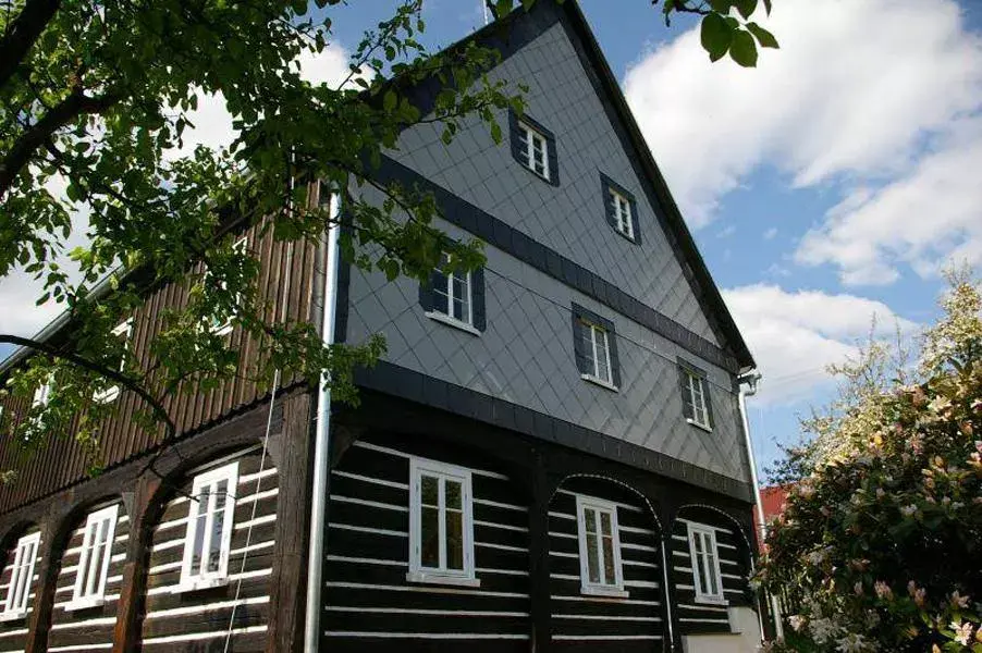 Roubenka Růžová 