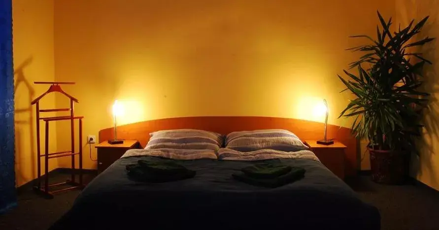Photo 2 of PENZION SARAYA WELLNESS