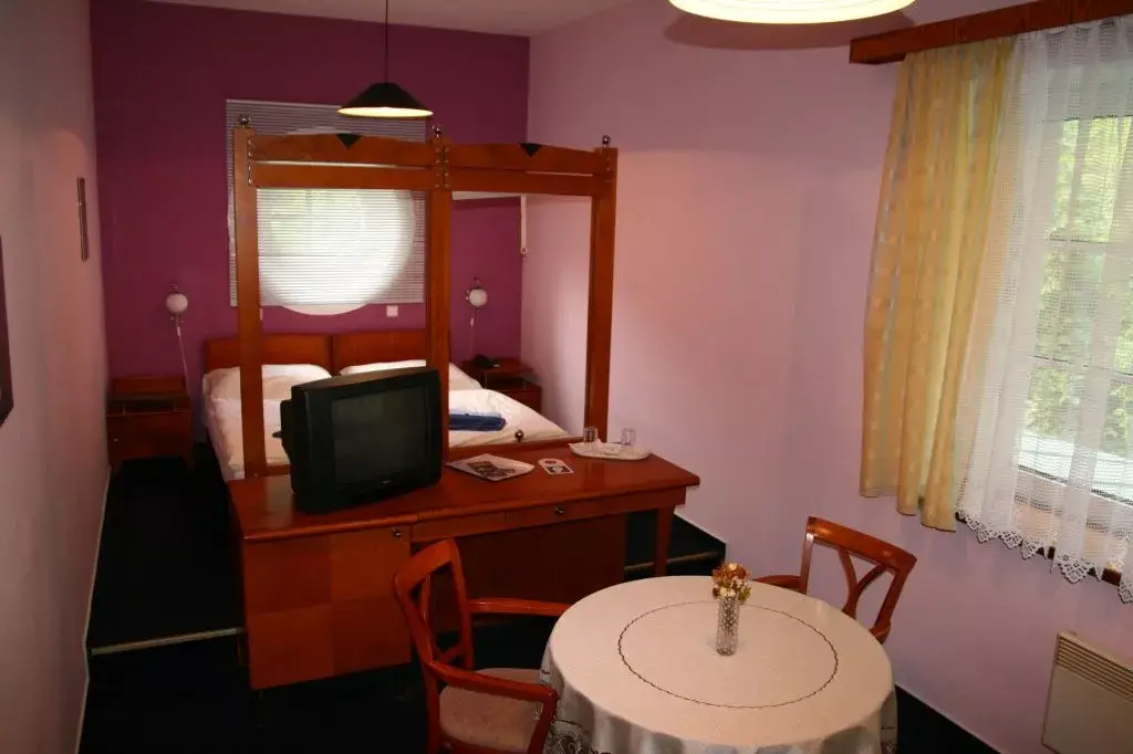 Photo 4 of Hotel Skalní mlýn