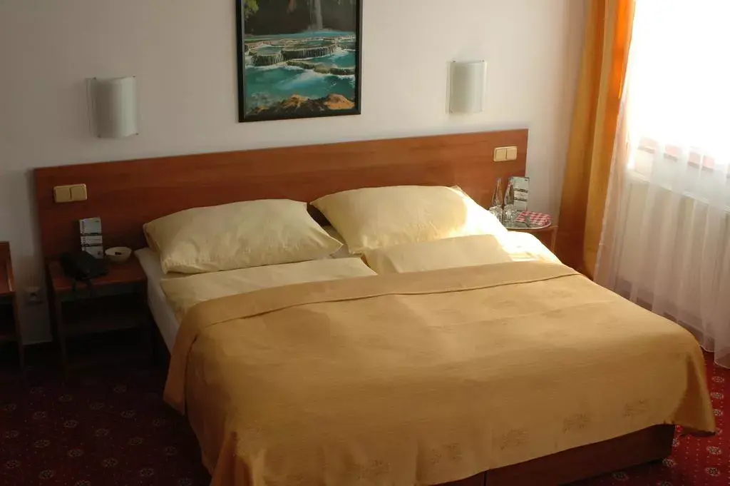 Photo 2 of Hotel Slavia Praha