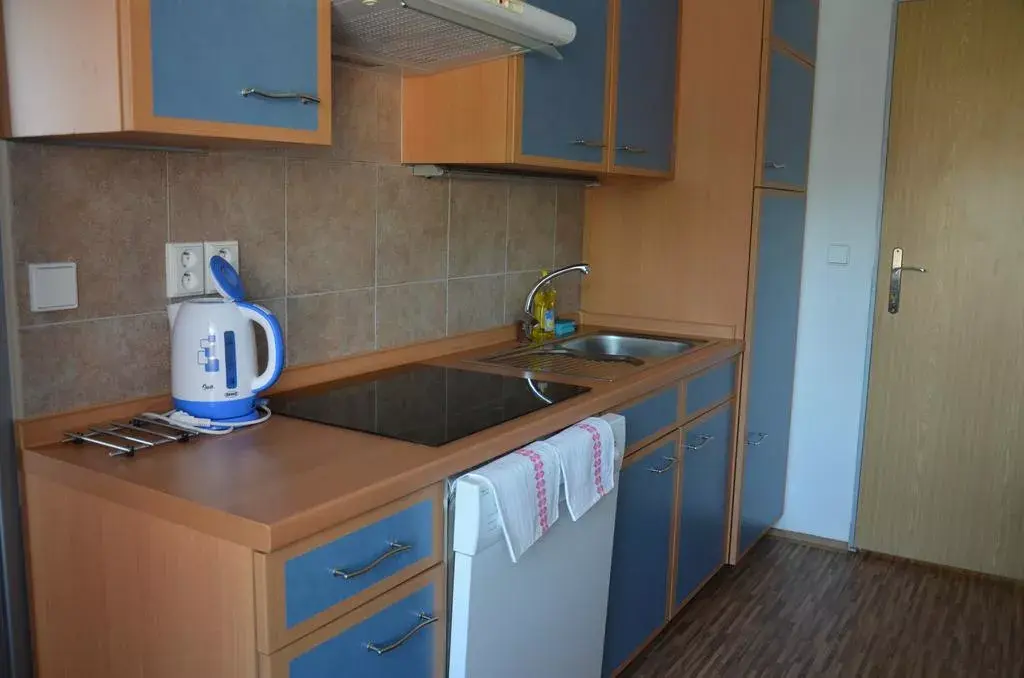 Photo 3 of Apartmány a studia u Karla