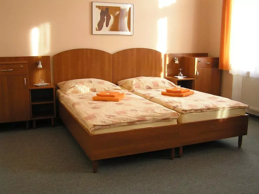 Photo 3 of Hotel Antonietta Teplice