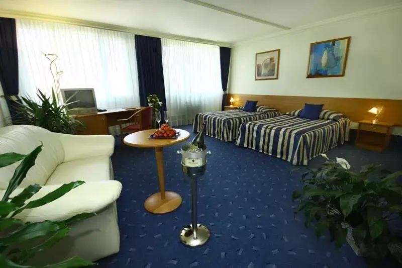 Photo 3 of Top Hotel Praha