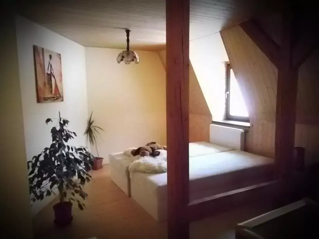 Photo 2 of Ubytování Cotkytle