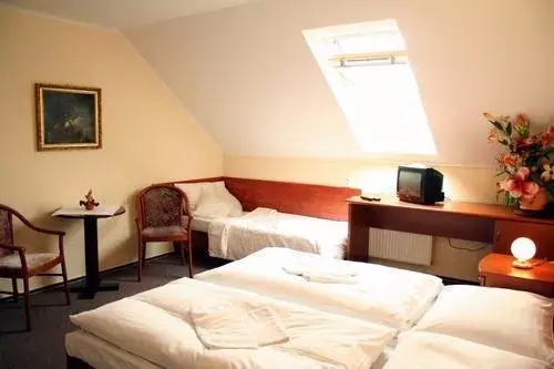 Photo 5 of Hotel U Hvězdy