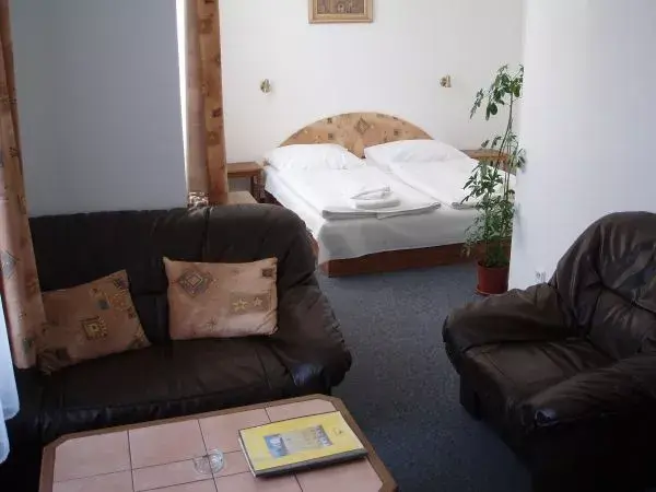 Photo 3 of Hotel U Šemíka