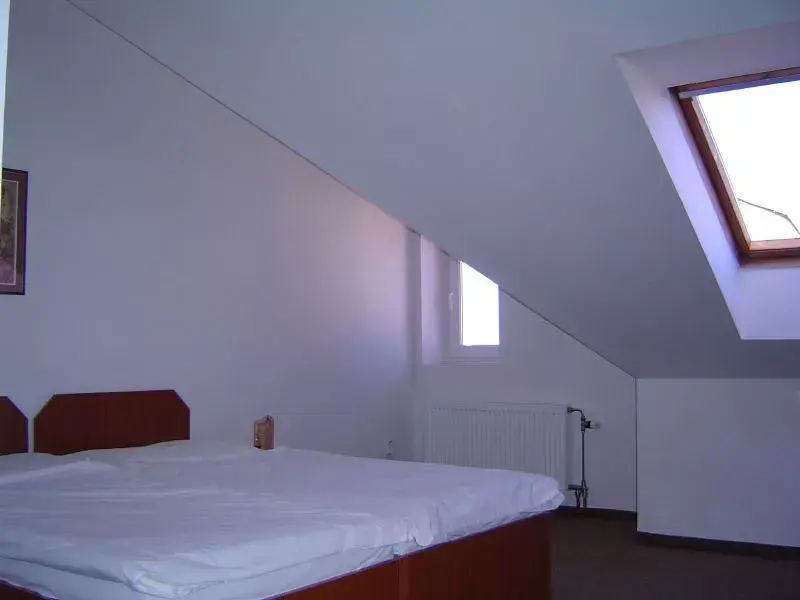 Photo 4 of HOTEL U Sládků